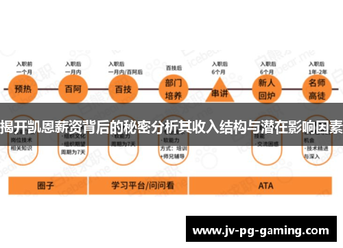 揭开凯恩薪资背后的秘密分析其收入结构与潜在影响因素