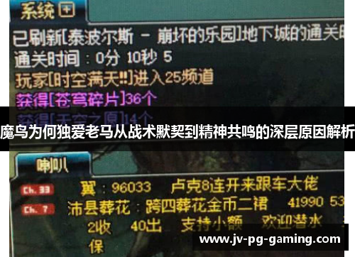 魔鸟为何独爱老马从战术默契到精神共鸣的深层原因解析 魔鸟为何独爱老马从战术默契到精神共鸣的深层原因解析