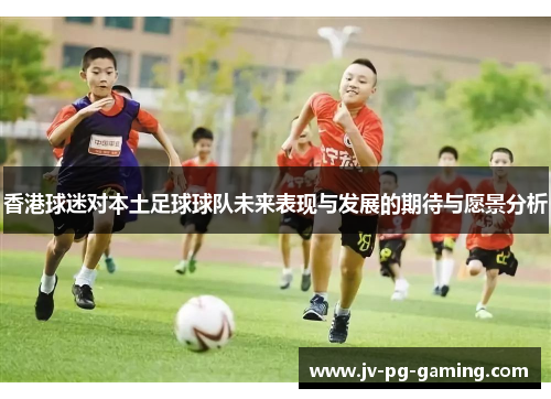 香港球迷对本土足球球队未来表现与发展的期待与愿景分析