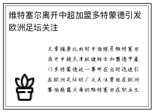 维特塞尔离开中超加盟多特蒙德引发欧洲足坛关注